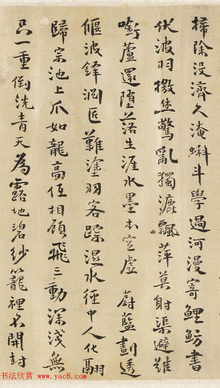 探索乡土草药300种农村常见中药材的秘密世界
