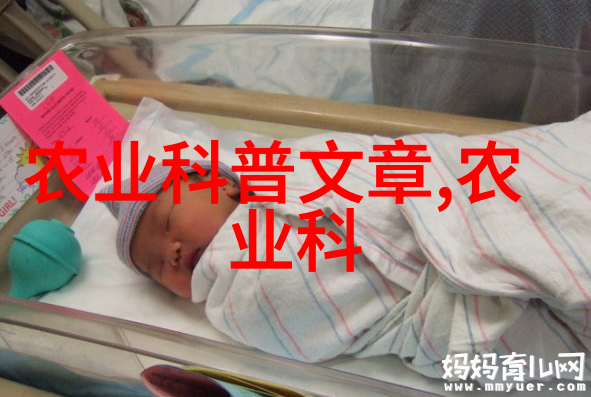 种植草药有什么药可以种你我他都能用的家庭草药园