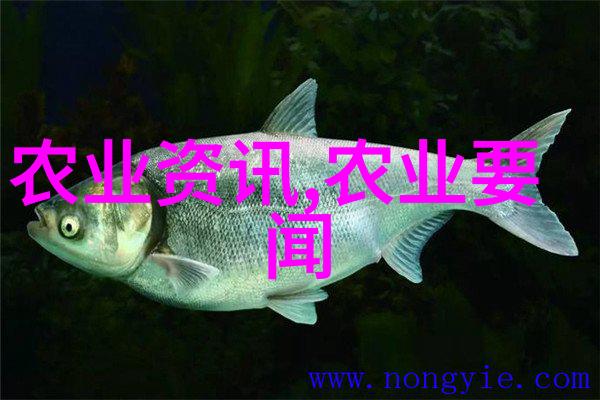 说明: IMG_PITU_20201203_193828