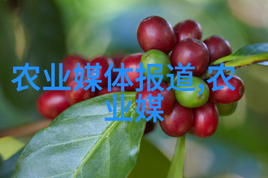 土壤生长智慧滋养探索农业种植的奥秘