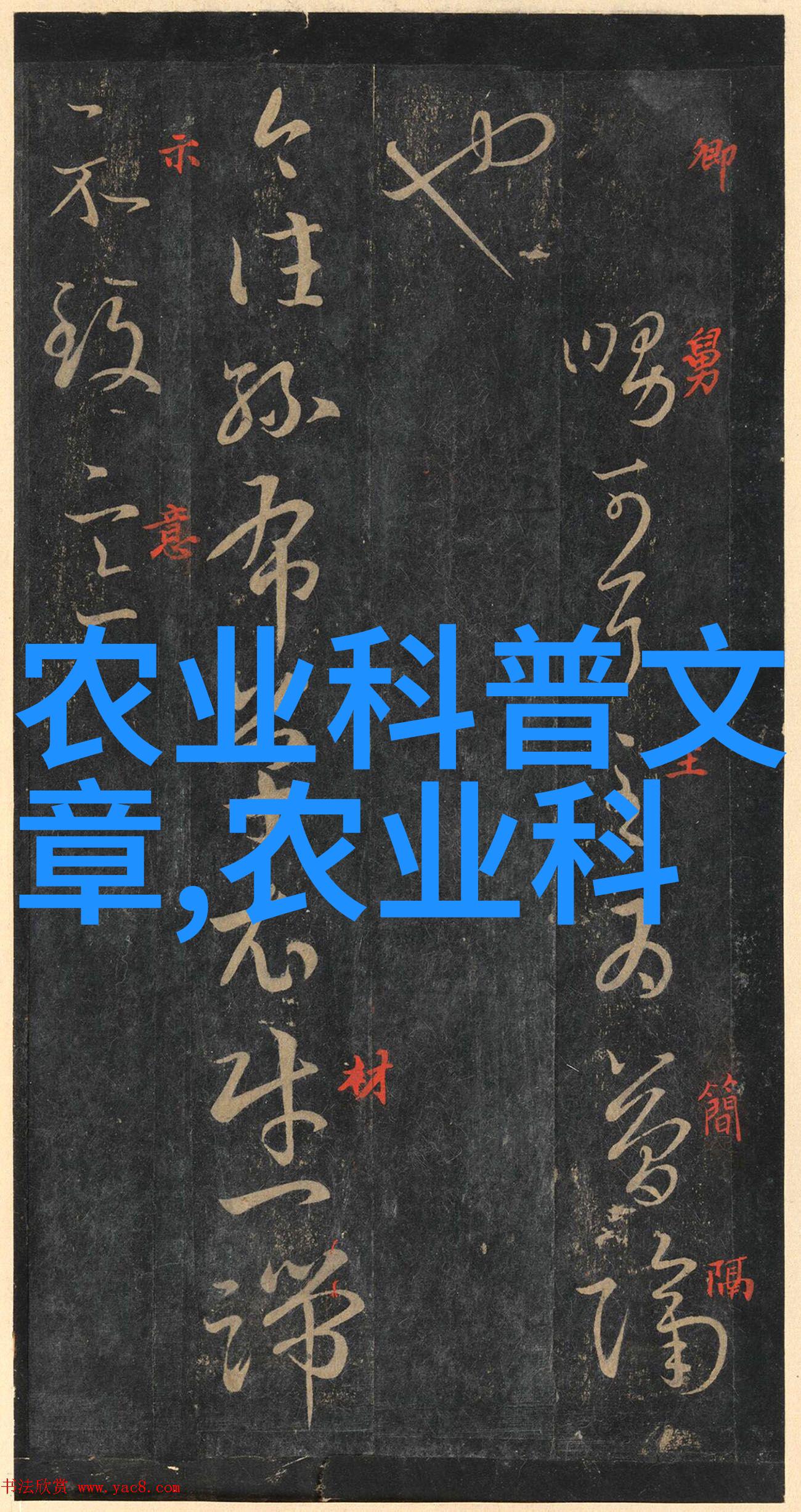 死水塘养什么鱼最好-逆境中的生长选择适合的死水塘鱼类