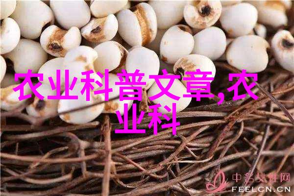 室内蟾蜍养殖技巧让你在家也能成功养出健康的小朋友