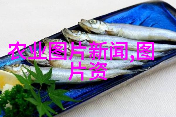 苗木大比拼鄢陵的绿意盎然价格战