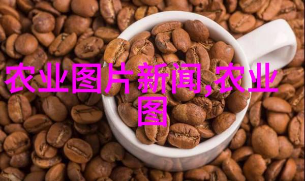云南昆明鲜花批发市场春日游览的最佳去处
