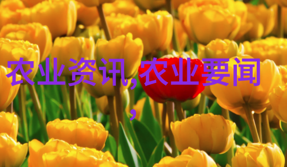 绿茵梦境与代码森林苗木管理软件的双重奏鸣