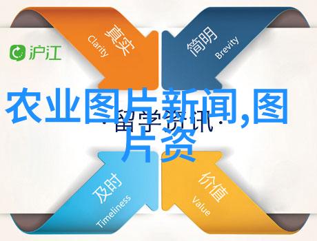 中国茶叶起源于哪里-从山野到世间探索中国茶叶悠久的起源