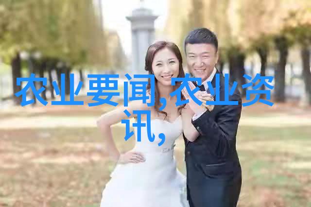 生产商如何通过现代农业技术提高十字花科作物产量