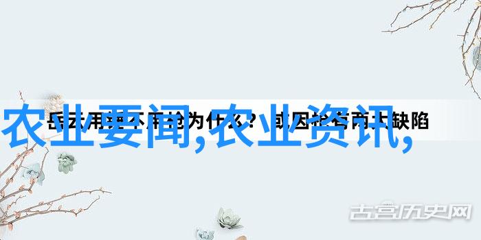 庭院种植常见花卉选择旺宅秘诀提升住宅价值的美丽植物