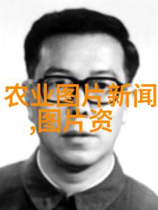 蜜蜂养殖技术精髓解析提升效益守护生态平衡