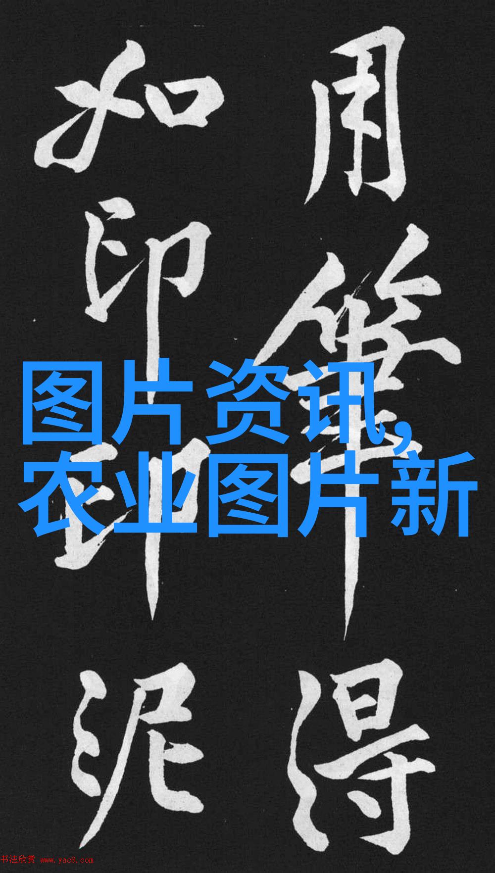 中药材最贵的前5名-珍稀草本中国古方中的宝石