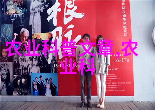 春风化雨中的桃花债剖析古代借贷习俗与社会关系