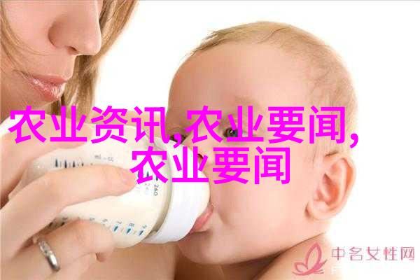 魔术豆