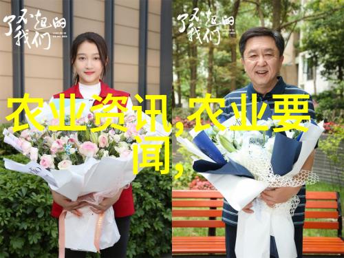 创造温馨空间最新家庭装饰使用的优雅绿植鲜艳花卉图库