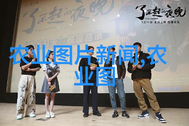 蜜蜂之谜新手的甜蜜挑战