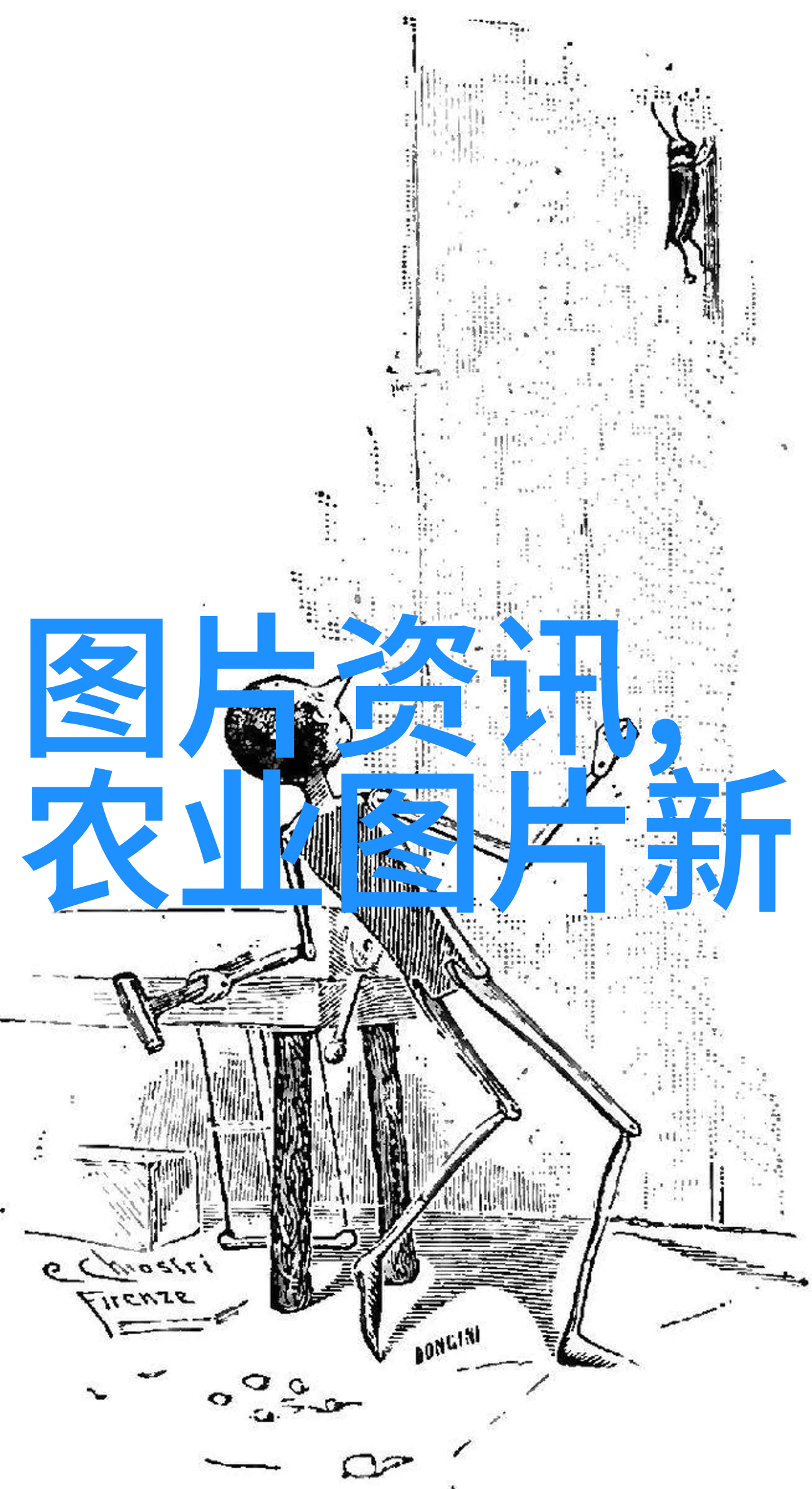 春播夏收秋种冬藏一年三熟的农作物之美