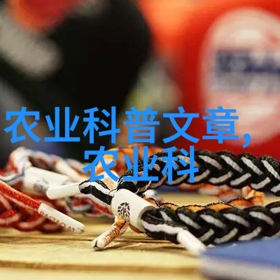缘起缘落观赏红叶悟出生命之美