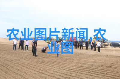 2023年养殖好项目-智慧养殖时代2023年最受欢迎的可持续农业模式