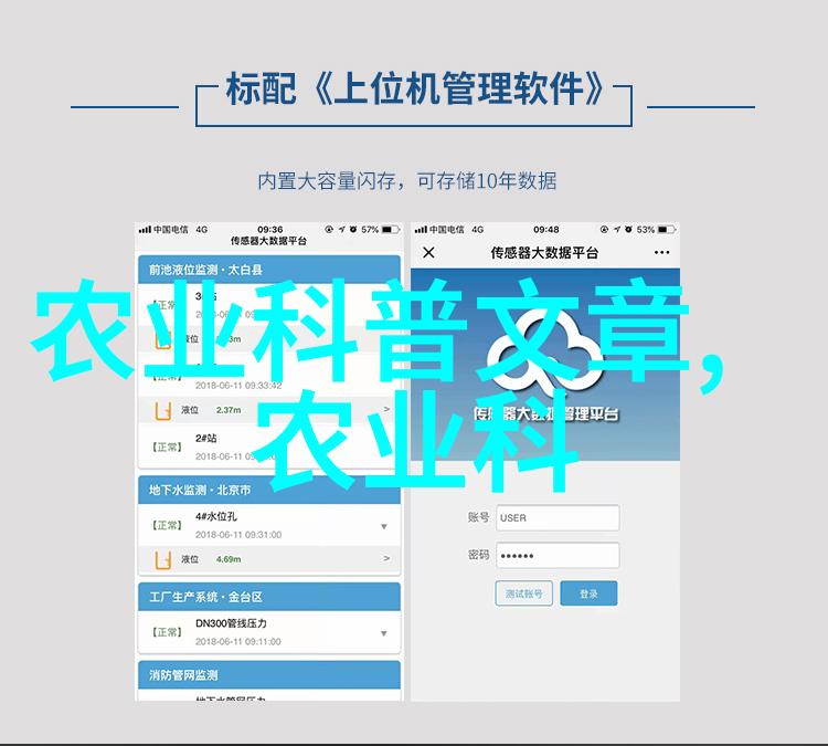 简单易种的水果-初学者的园丁宝典5种简单易种的水果