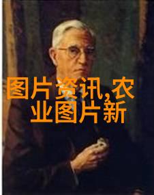 中国药用植物的宝库探秘中药材的奇妙世界