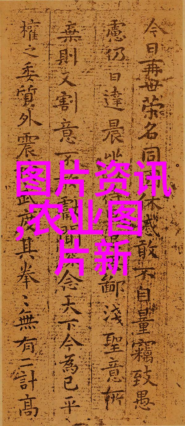 水果种子有哪些图片我来帮你看看这些可爱的种子大图