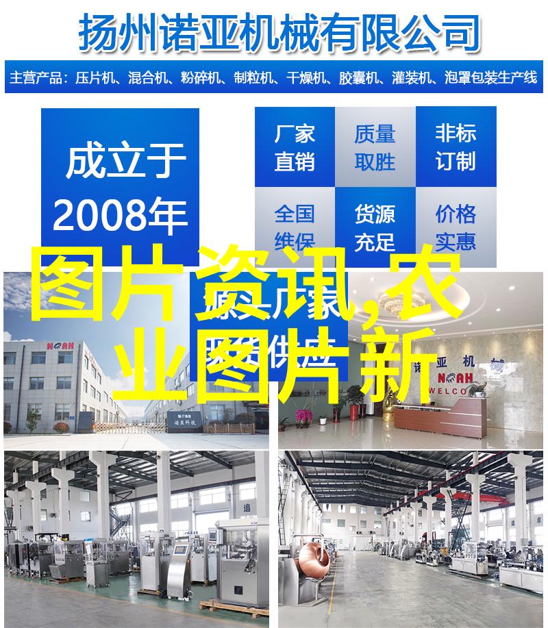 10公分美国红枫树小植株的迷人魅力与市场价格探索