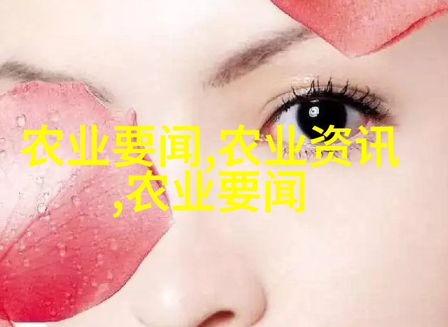 橙色碎片中的种子