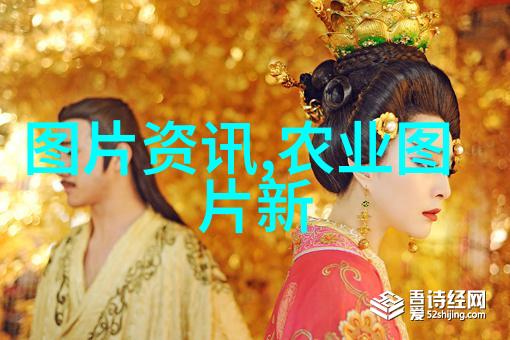 15公分白蜡树的市场价钱如何
