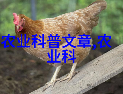 绿茶的独特之处揭秘其在众多茶叶中的优势与内在成分