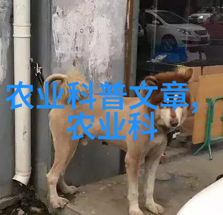 探索非洲草原上的野生金线莲一场摄影之旅