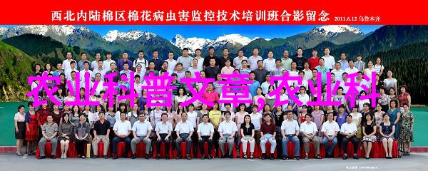 茶的奇迹揭秘绿色宝石的健康秘密