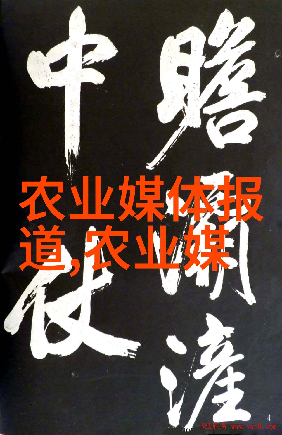 精选家庭盆景照片集展示植物艺术的多样性与魅力