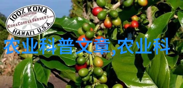 土壤的智慧农业种植专家的绿意篇章