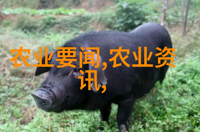 农用微耕机图片价格详解一览全景助力农业机械化