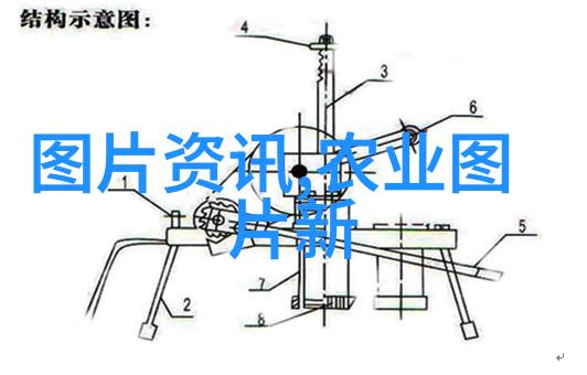 泥鳅养殖技术我来教你怎么轻松养出一池子肥美的泥鳅
