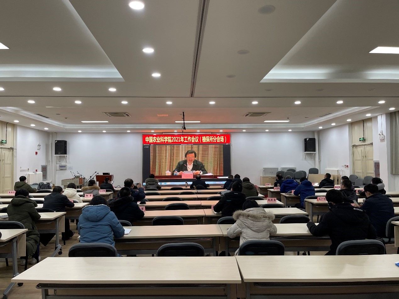 鸡爪槭价格12公分我近日在植物市场发现了一款超有趣的室内花卉鸡爪槭这种花不仅颜色鲜艳而且形状独特让人