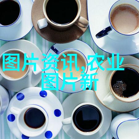 龟类中的精品金头龟