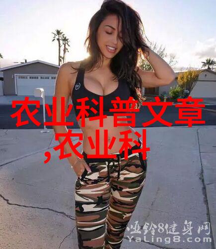 暖暖社区第一页邂逅与共鸣的起点