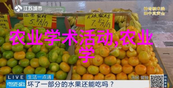 6月蜜蜂的繁忙时刻是否会再次分蜂