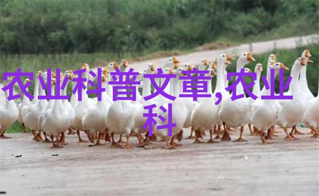 未来农业的甜蜜选择种植哪些水果前景最为光明