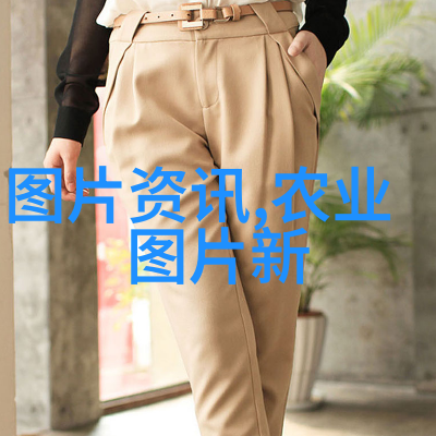 中世纪欧洲人是如何接触到中国茶的