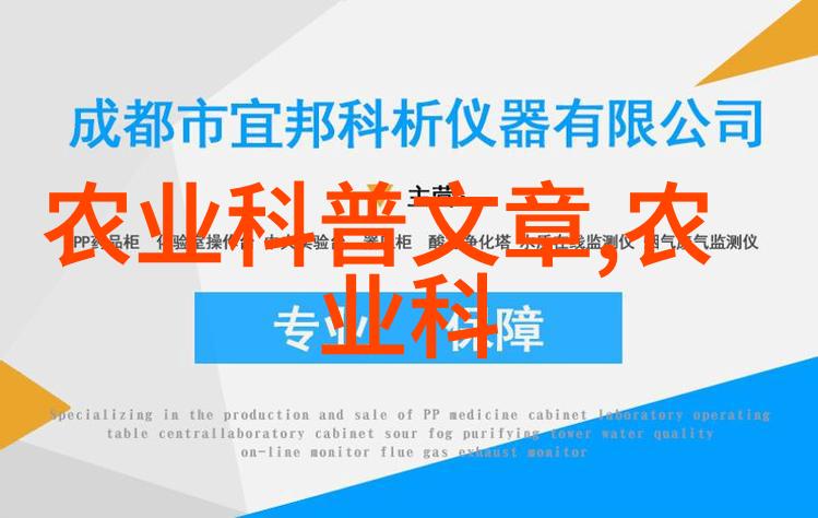 金线莲的种植成本解析每斤的花费