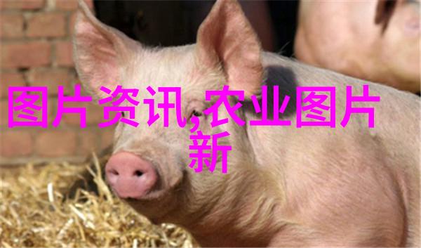 高科技特种养殖技术智能化生物环境模拟系统