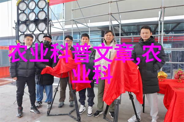 选择合适的饲料机类型根据农场规模和需求