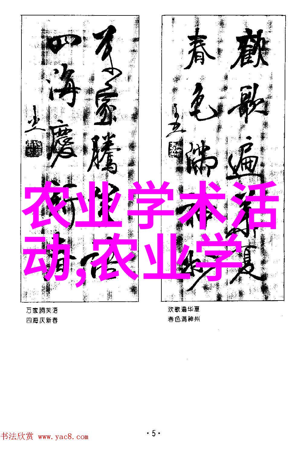 茶叶种类排行榜前10名绿茶红茶乌龙茶白茶黄金普洱高山黑茶大吉岭毛峰西湖长jing小麦香茗福建武夷岩t