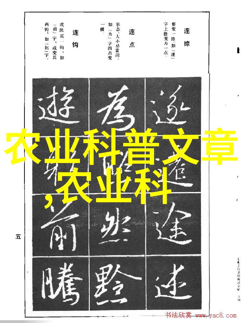 生活品质提升如何通过正确选择和烹饪方法最大化茶汤效果