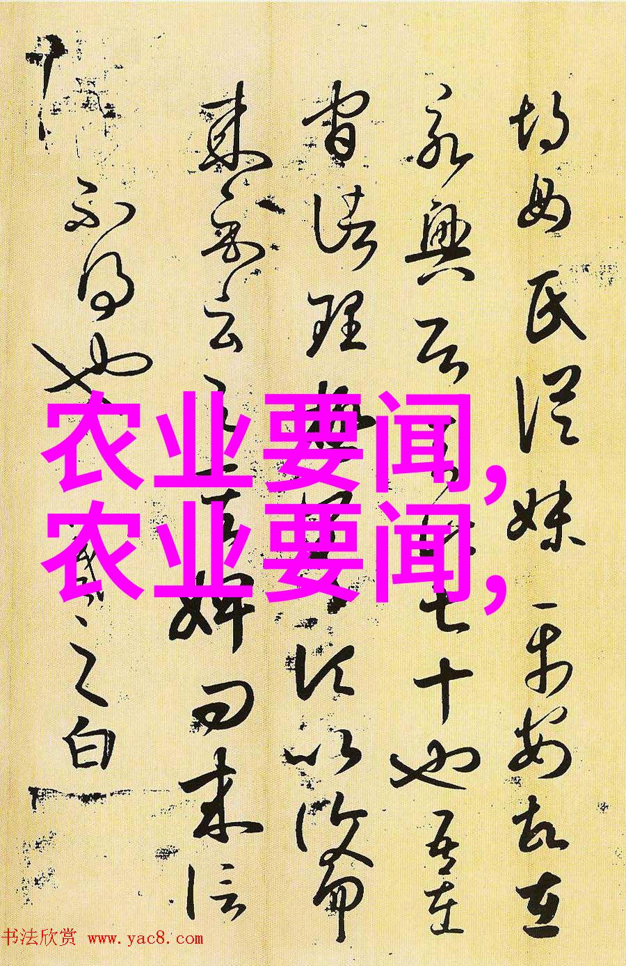 蜜蜂养蜂技术-精准授粉揭秘高效的蜜蜂养殖技巧