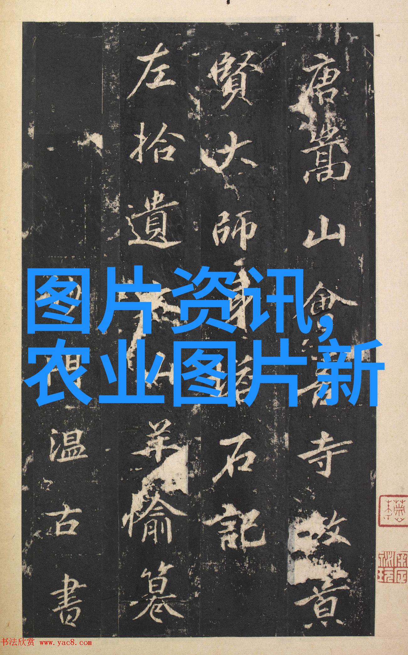 欧洲菊苣-采摘欧洲风情欧洲菊苣的历史营养与美食应用