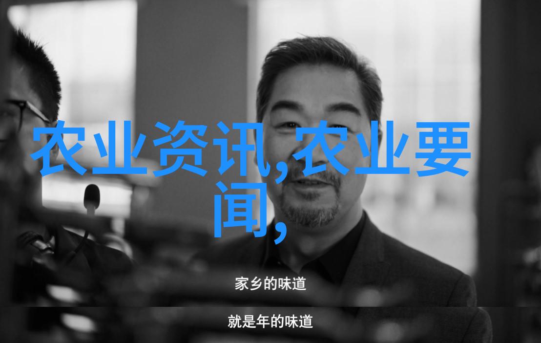 蜜蜂养殖艺术掌握基本技术共享甜蜜果实