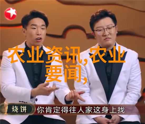 茶的智慧探索中式茶文化的哲学与艺术