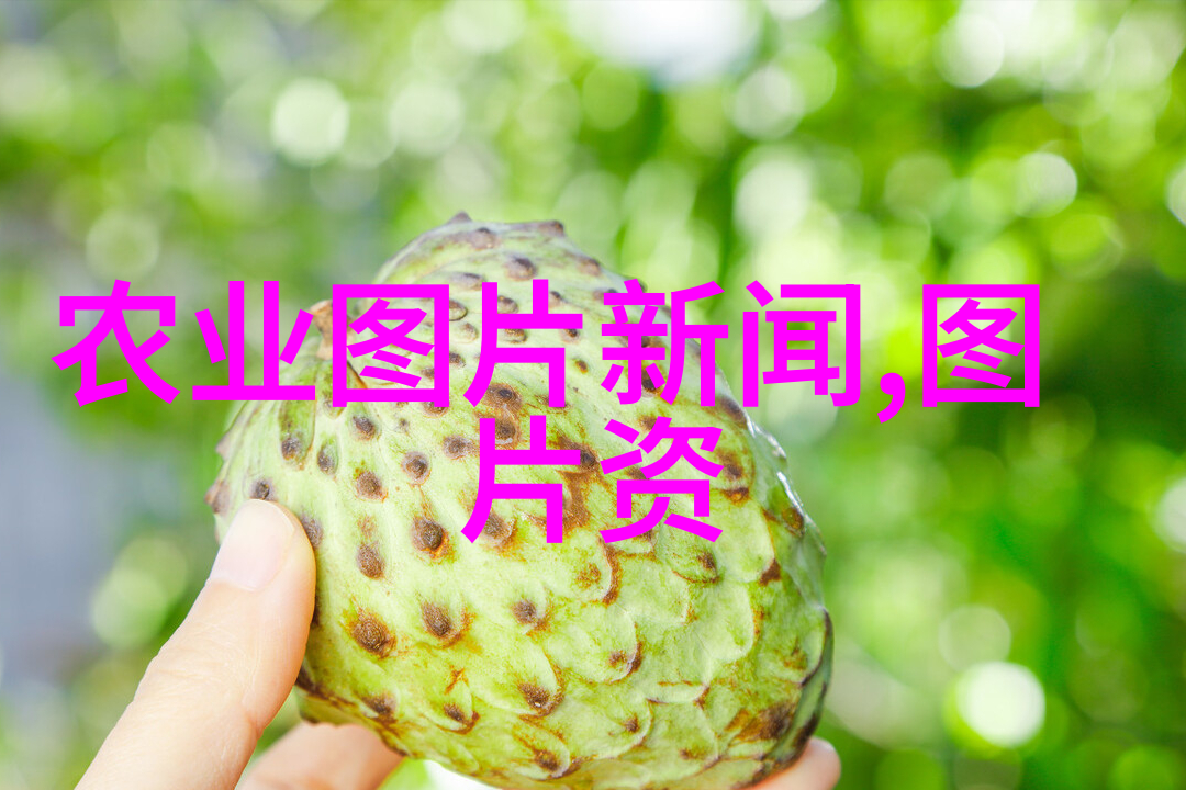 微芯生物-微小奇迹揭秘微芯生物在医学中的革命性作用